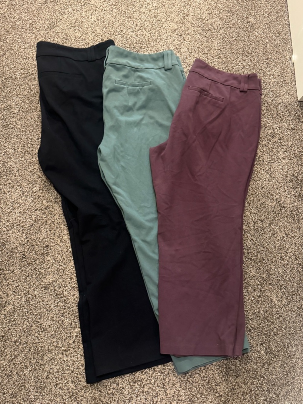 3 torrid Black, Sage Green & Plum  dress pants all 20 short